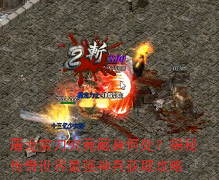 �����������������δ������ش���������ǿ�����ȡ����