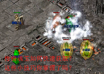 ���������ο��ٻ�ȡ����ЩС��������������