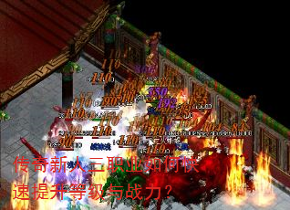 ����������ְҵ��ο��������ȼ���ս����