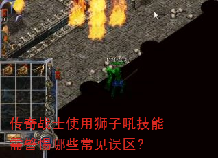 ����սʿʹ��ʨ�Ӻ����辯����Щ����������