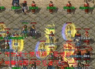 ����սʿʹ��ʨ�Ӻ����辯����Щ����������