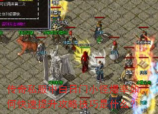 传奇私服中白日门小怪爆率如何快速提升攻略技巧是什么? 传奇私服中白日门小怪爆率如何快速提升攻略技巧是什么?