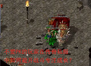 ����PK������ڴ���˽������αܿ�ս��רע�ɳ���