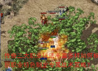 ��������ְҵ�淨�ḻ������θ���ְҵ��ɫ�ƶ�ר��ս�����ԣ�