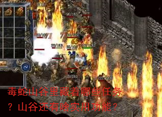 毒蛇山谷里藏着哪些任务?山谷还有啥实用功能? 毒蛇山谷里藏着哪些任务?山谷还有啥实用功能?