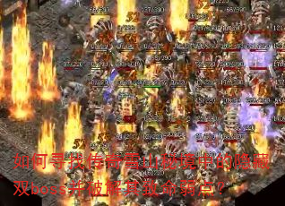 ���Ѱ�Ҵ���ѩɽ�ؾ��е�����˫boss���ƽ����������㣿