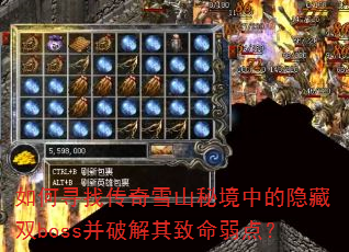 ���Ѱ�Ҵ���ѩɽ�ؾ��е�����˫boss���ƽ����������㣿