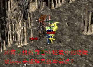 ���Ѱ�Ҵ���ѩɽ�ؾ��е�����˫boss���ƽ����������㣿