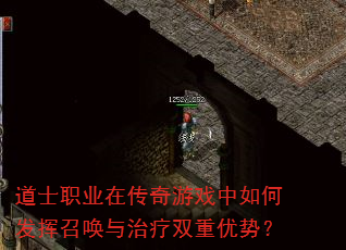 ��ʿְҵ�ڴ�����Ϸ����η����ٻ�������˫�����ƣ�