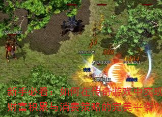 ���ֱؿ�������ڴ�����Ϸ��ʵ�ֲƸ����������Ѳ��Ե�����ƽ�⣿