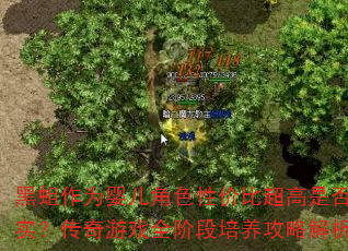 黑蛆作为婴儿角色性价比超高是否属实?传奇游戏全阶段培养攻略解析 黑蛆作为婴儿角色性价比超高是否属实?传奇游戏全阶段培养攻略解析
