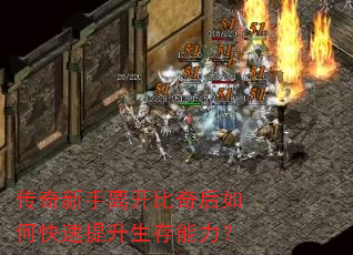 ���������뿪�������ο�����������������