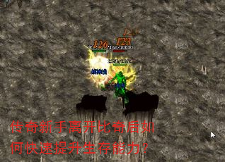 ���������뿪�������ο�����������������