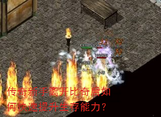 ���������뿪�������ο�����������������