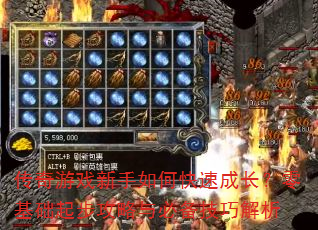 ������Ϸ������ο��ٳɳ���������𲽹�����ر����ɽ���