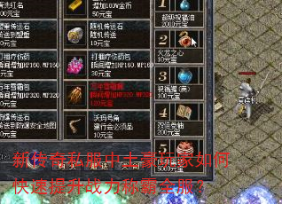 新传奇私服中土豪玩家如何快速提升战力称霸全服? 新传奇私服中土豪玩家如何快速提升战力称霸全服?