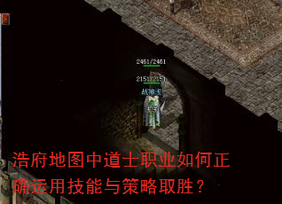 浩府地图中道士职业如何正确运用技能与策略取胜? 浩府地图中道士职业如何正确运用技能与策略取胜?