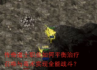 �����ʿְҵ���ƽ�������ٻ��붾��ʵ��ȫ��ս����