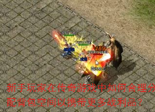 ��������ڴ�����Ϸ����κ������䱳���ռ���Я������ս��Ʒ��