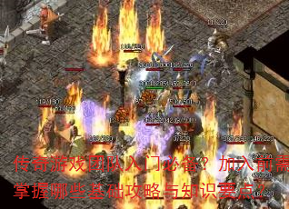 ������Ϸ�Ŷ����űر�������ǰ��������Щ����������֪ʶҪ�㣿