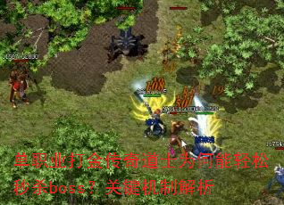 ��ְҵ������ʿΪ����������ɱboss���ؼ����ƽ���