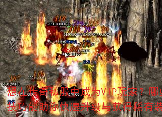 ���ڴ���˽���г�ΪVIP��ң���Щ���������������������ϡ��װ����