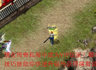 ���ڴ���˽���г�ΪVIP��ң���Щ���������������������ϡ��װ����