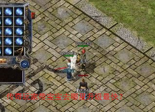 传奇玩家带宝宝去哪里升级最快? 传奇玩家带宝宝去哪里升级最快?