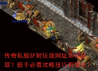 ����˽��SF�������ַ��λ�ȡ�����ֱؿ����Լ�������Щ��