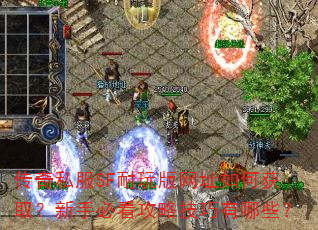 ����˽��SF�������ַ��λ�ȡ�����ֱؿ����Լ�������Щ��