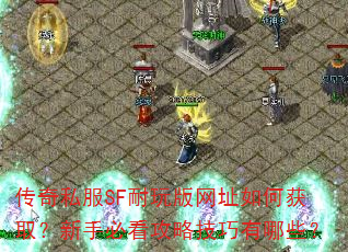 ����˽��SF�������ַ��λ�ȡ�����ֱؿ����Լ�������Щ��