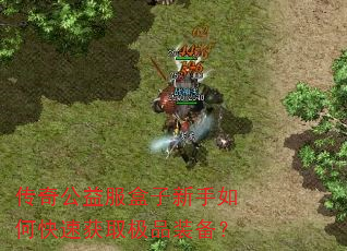 传奇公益服盒子新手如何快速获取极品装备? 传奇公益服盒子新手如何快速获取极品装备?