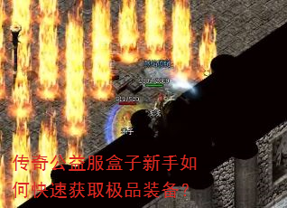 ���湫�������������ο��ٻ�ȡ��Ʒװ����