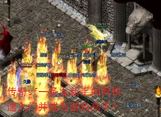 ����sfһ����������ο������Ų���Ϊ��Ϸ���֣�