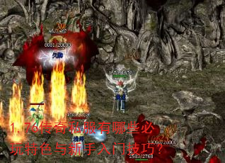 1.76����˽������Щ������ɫ���������ż��ɣ�