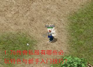 1.76����˽������Щ������ɫ���������ż��ɣ�