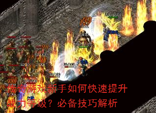 ������Ϸ������ο�������ս���ȼ����ر����ɽ���