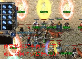 ����˽��SFƽ̨�������غ���ο�������ս����