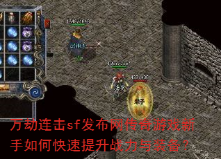 �������sf������������Ϸ������ο�������ս����װ����