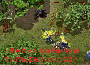 �������sf������������Ϸ������ο�������ս����װ����