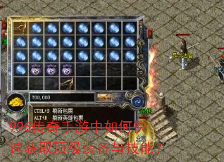 996������������ο��ٻ�ȡ����װ���뼼�ܣ�