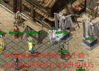 996����˽����������սʿְҵǰ����θ�Ч������������