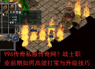 996����˽����������սʿְҵǰ����θ�Ч������������