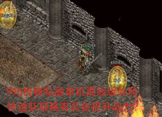 996����˽���������߰���ο��ٻ�ȡϡ��װ������ս����