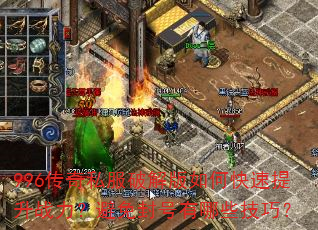 996����˽���ƽ����ο�������ս��������������Щ���ɣ�