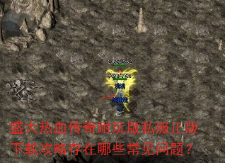 ʢ����Ѫ���������˽���������ع��Դ�����Щ�������⣿