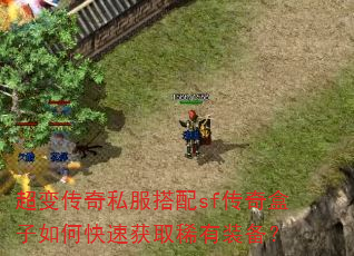 ���䴫��˽������sf���������ο��ٻ�ȡϡ��װ����