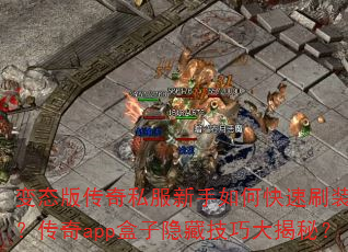 变态版传奇私服新手如何快速刷装备?传奇app盒子隐藏技巧大揭秘? 变态版传奇私服新手如何快速刷装备?传奇app盒子隐藏技巧大揭秘?