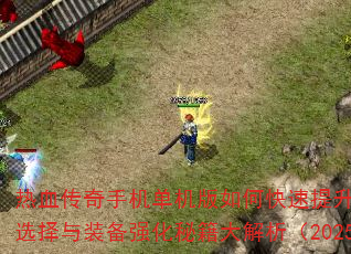 ��Ѫ�����ֻ���������ο�������ս����ְҵѡ����װ��ǿ���ؼ��������2025���£�