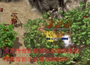 ��̬����˽��������Ŀ���ֵ���Ƽ����ֱؿ����Խ�����